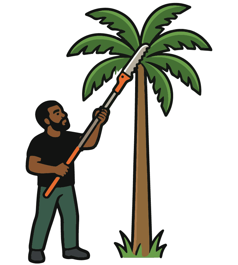 Palm Trimming GG Home Lawns