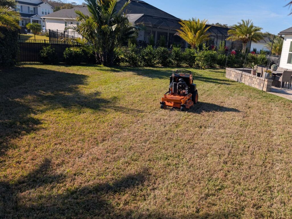 Backyard Lawn Care by GG Home Lawns