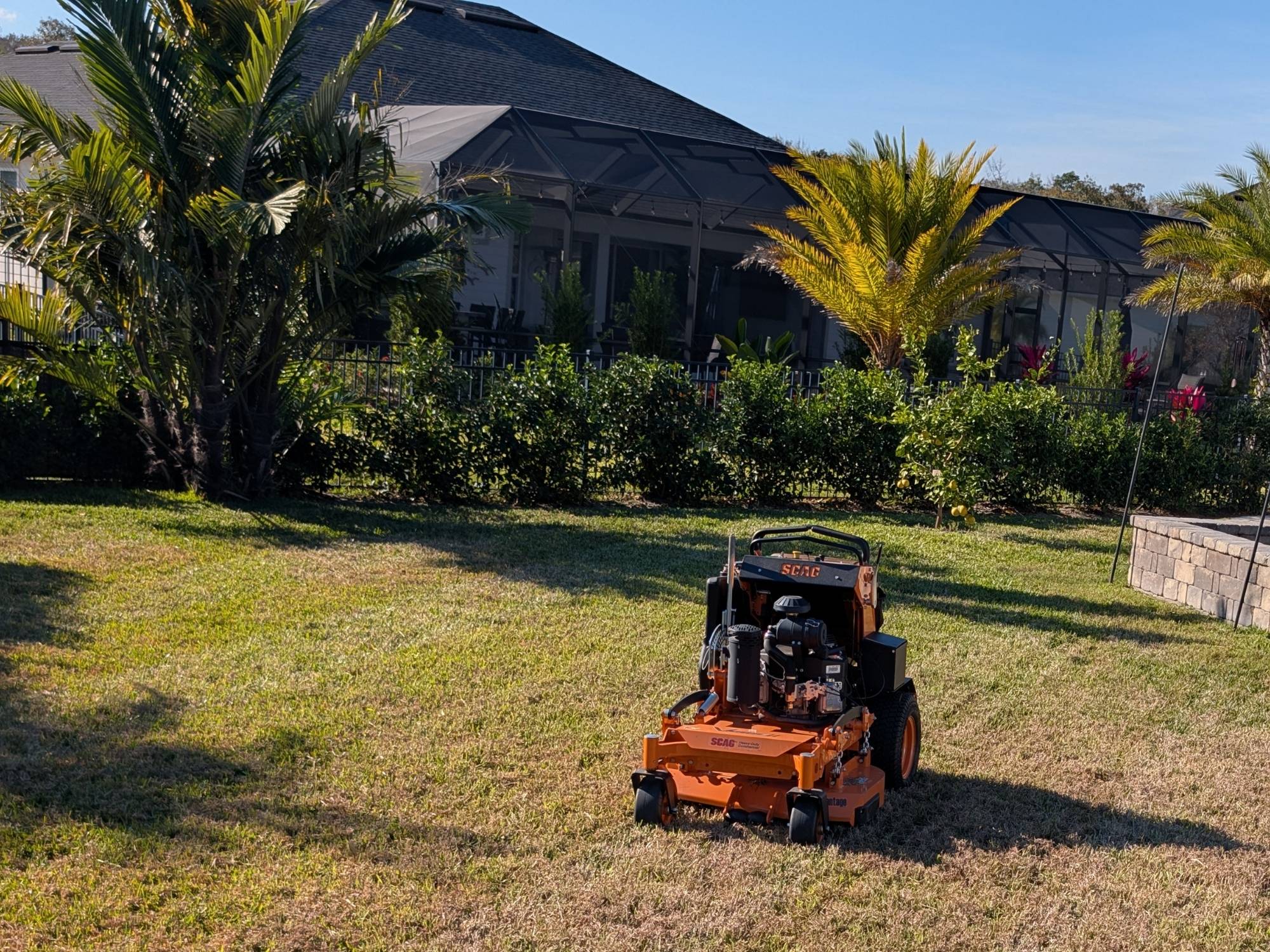 Newly planted shrubs and trees in residential landscape installation