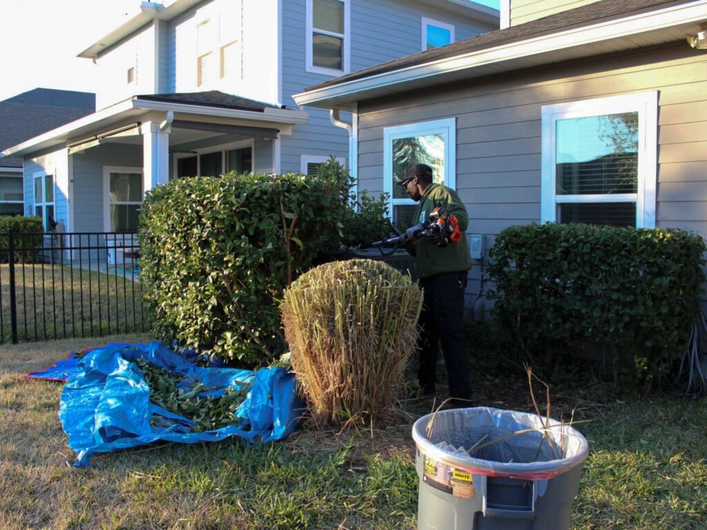 G&G Home Lawns trimming residential hedge with debris tarp for cleanup