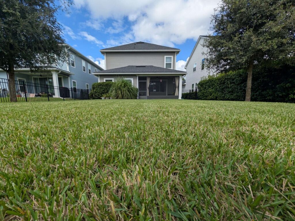Well-maintained residential lawn in Trailmark St. Augustine with freshly cut grass and clean edging behind a two-story home